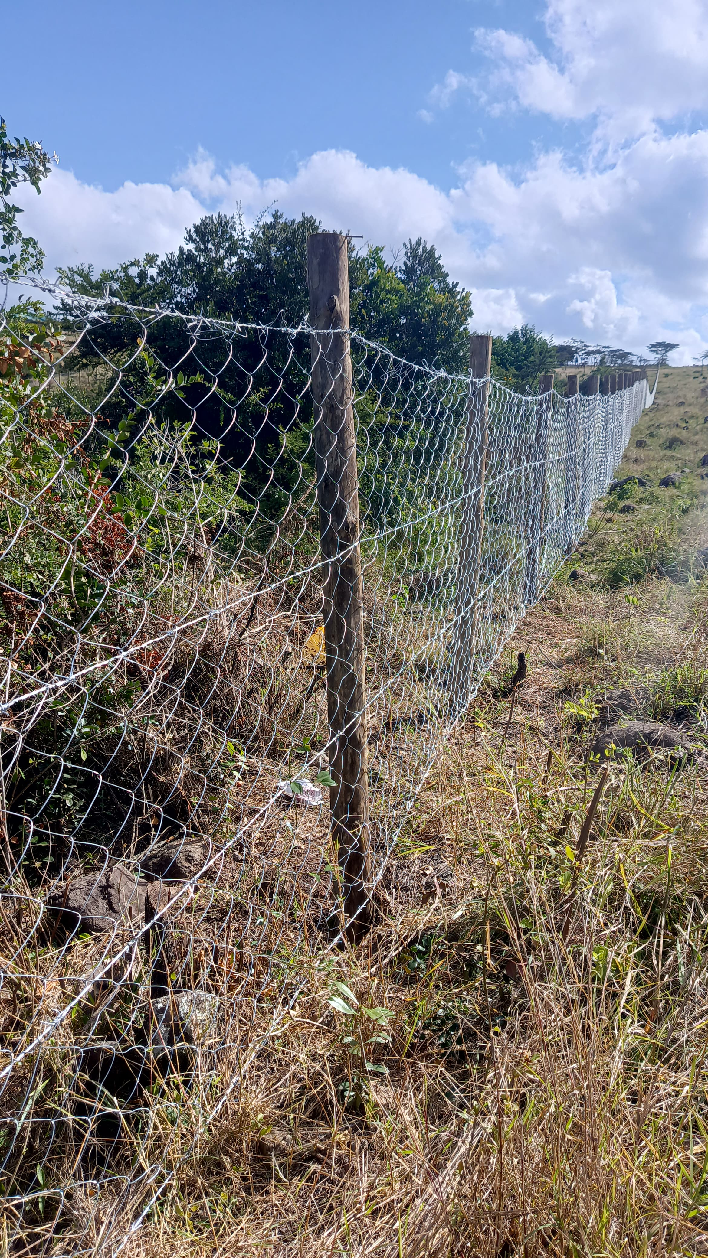 Completed Project 10