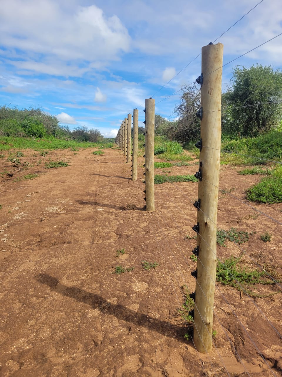 Completed Project 11