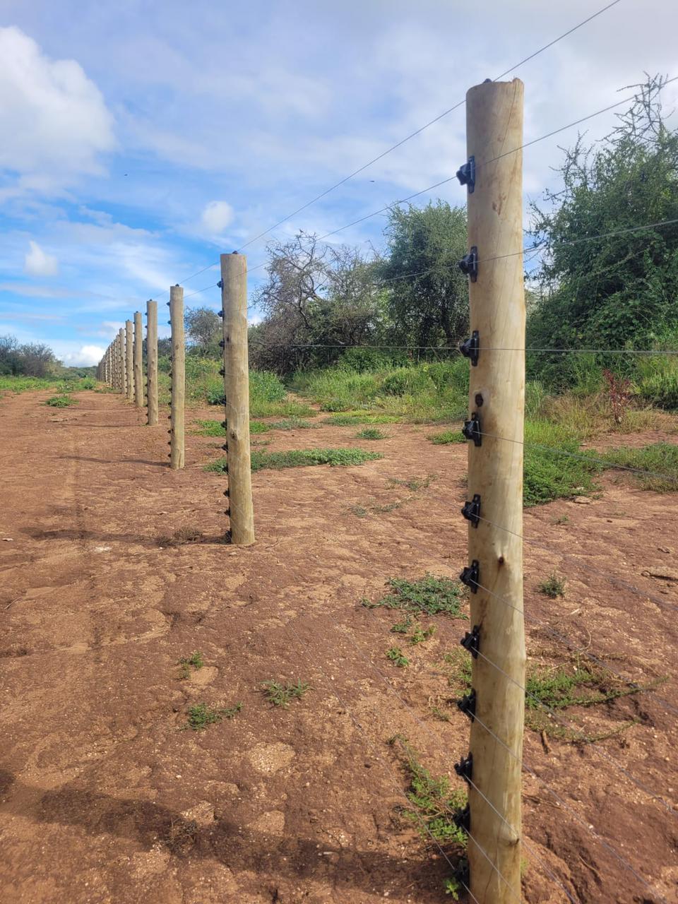 Completed Fence Project - Image 2