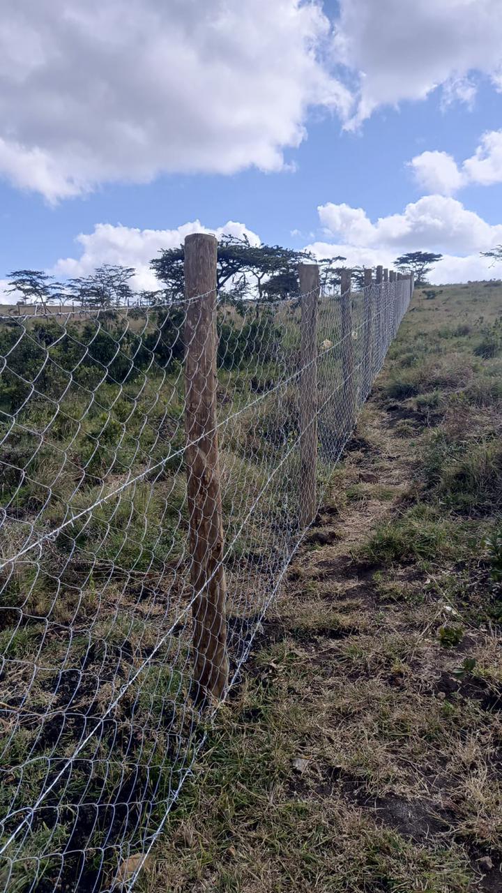 Completed Fence Project - Image 2