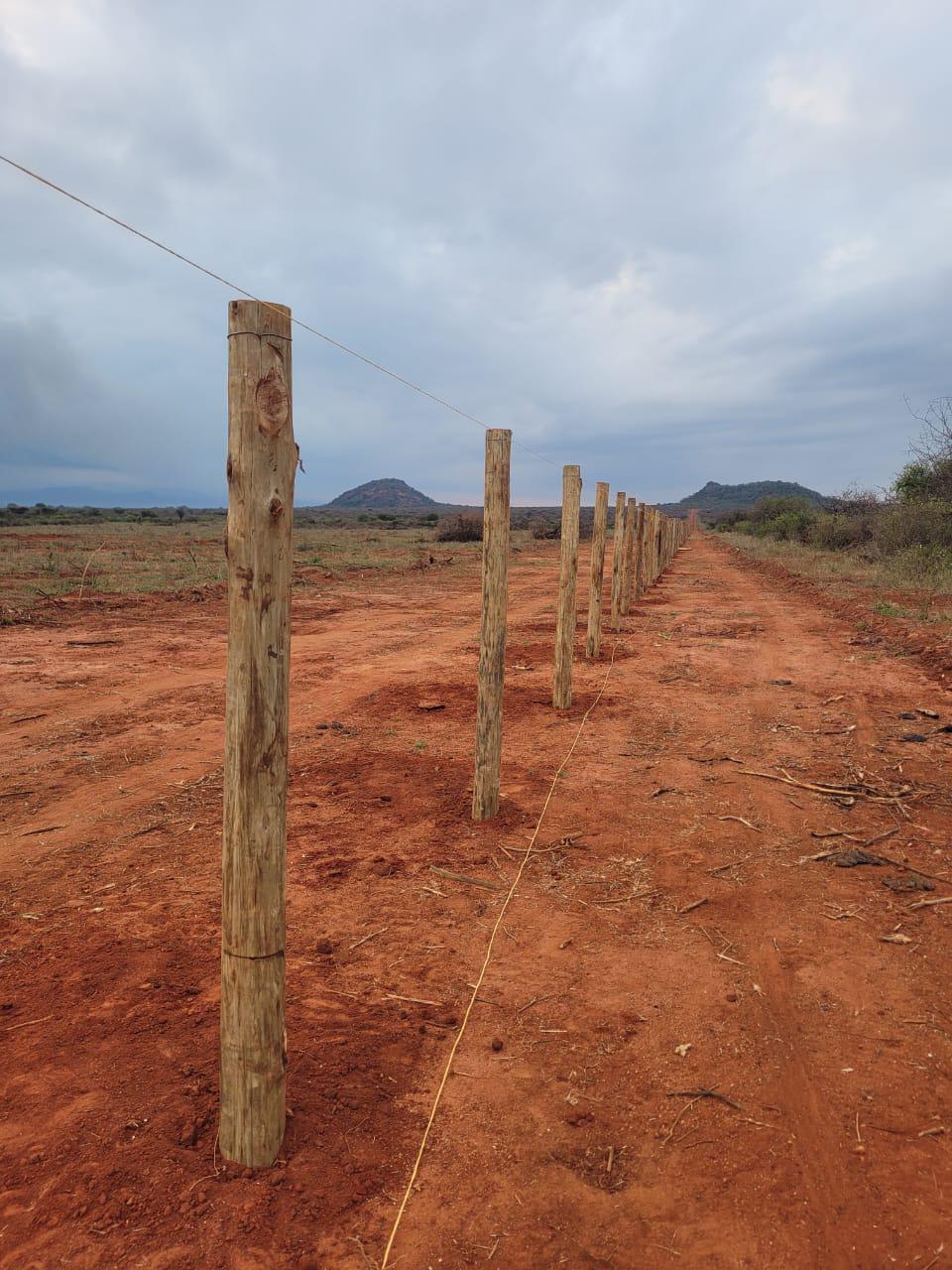 ongoing Fence Project - Image 3