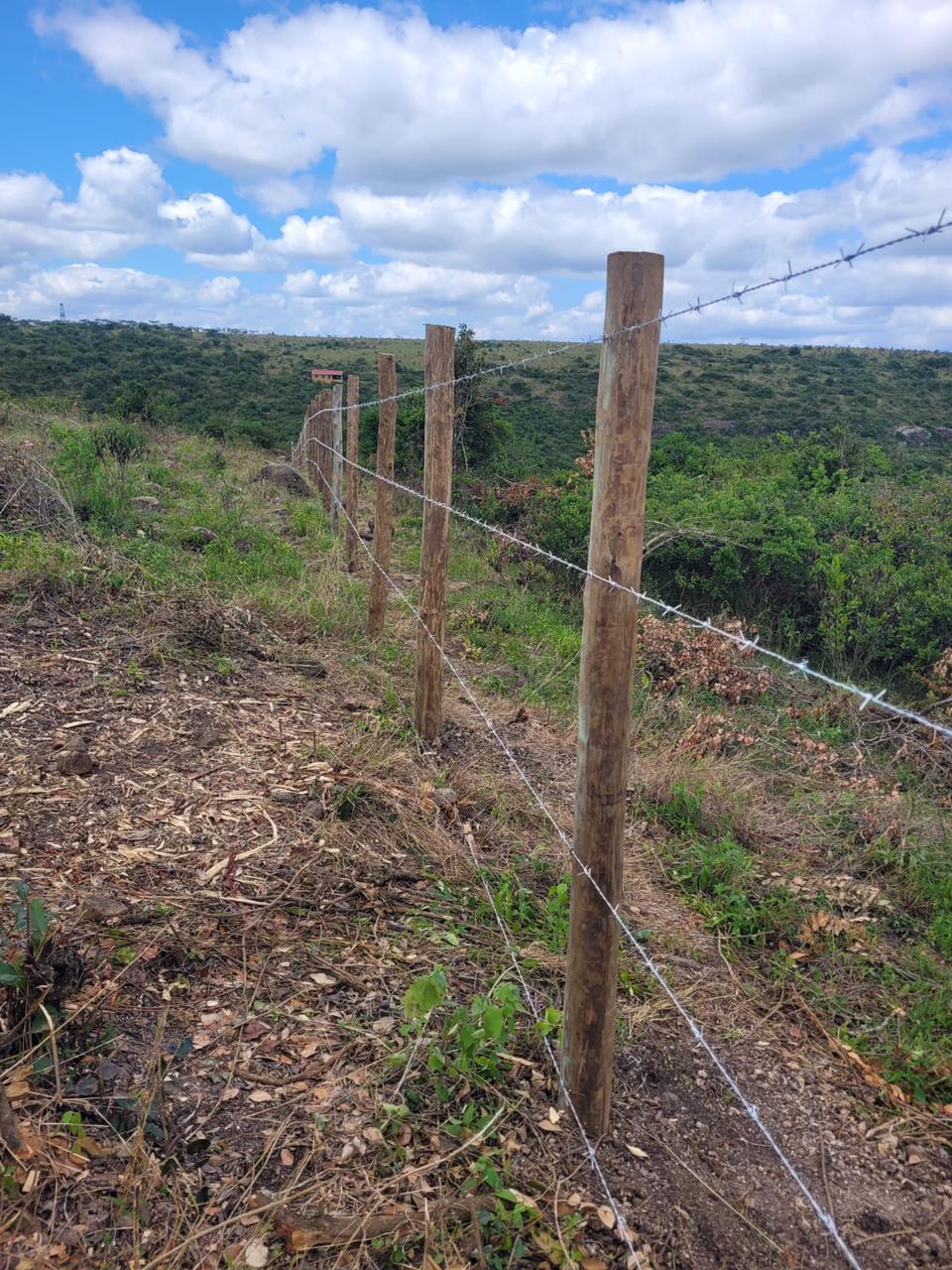 Completed Fence Project - Image 1