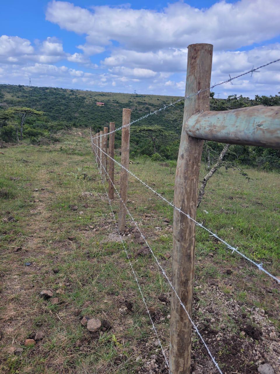 Completed Fence Project - Image 2