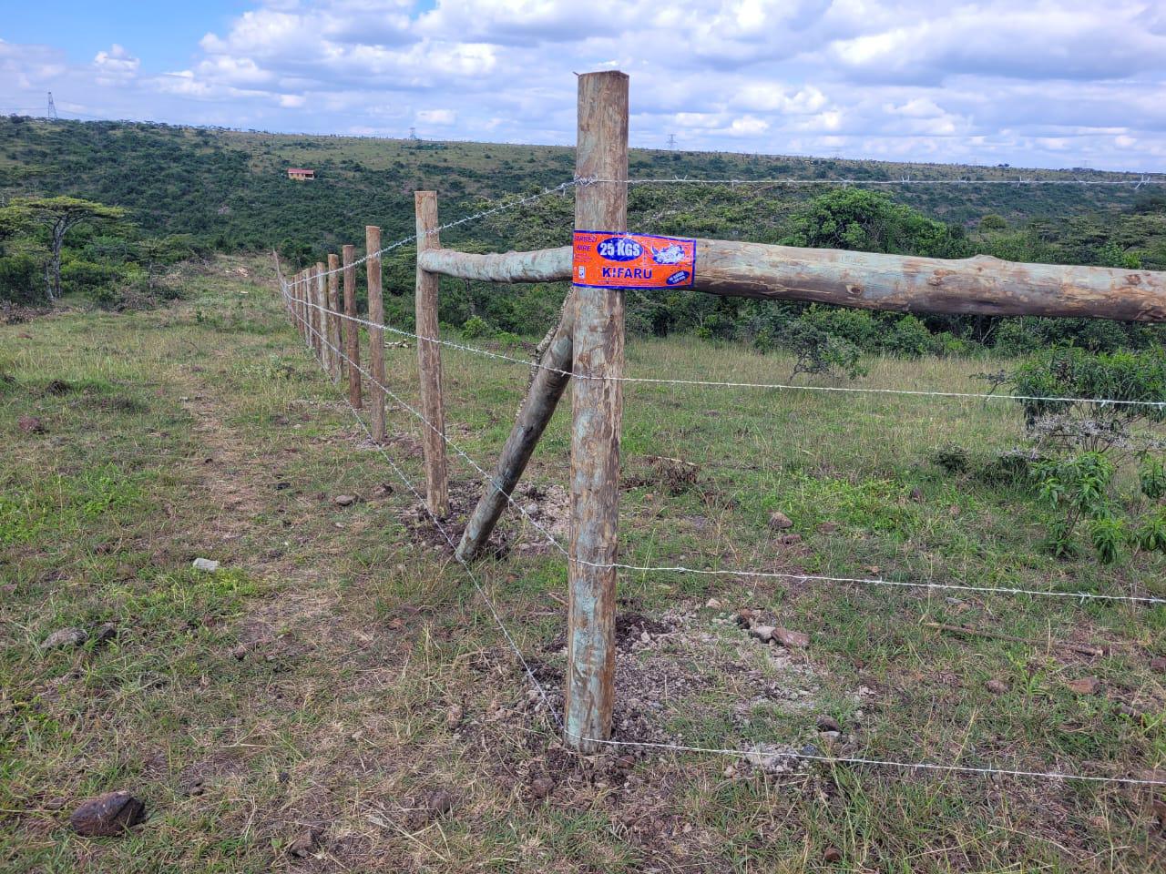 Completed Fence Project - Image 3